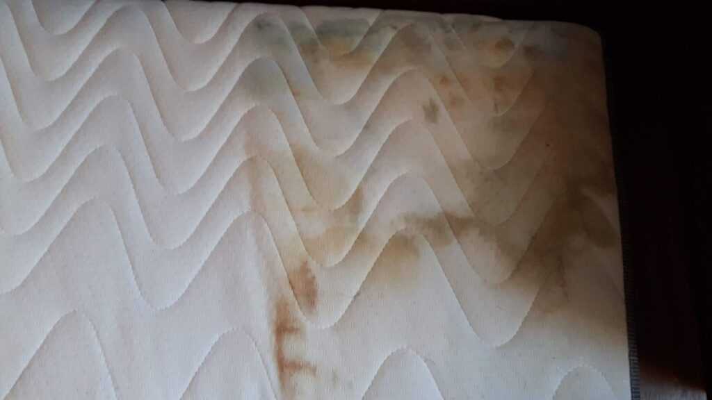 Stanisławów pranie tapicerki